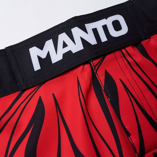 Manto Shorts Multi Gradient 3
