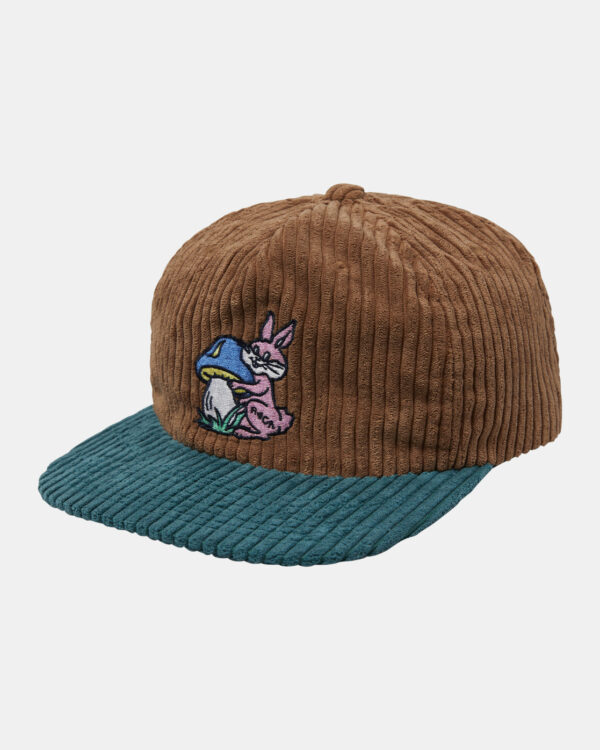rvca cottontale baseball hat 1