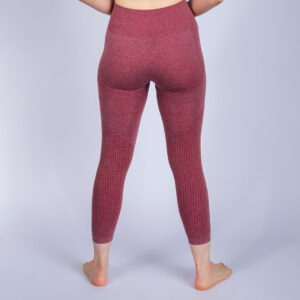 rebelz seamless tights women gold standard red 1