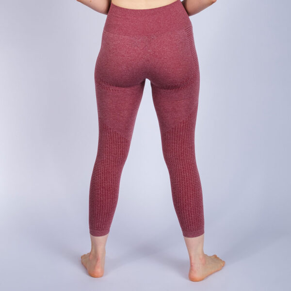 rebelz seamless tights women gold standard red 1